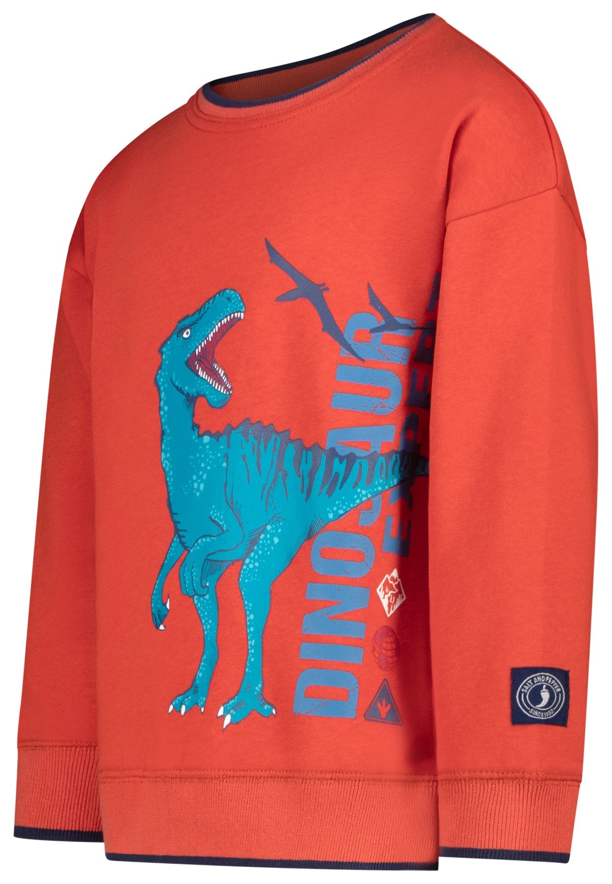 Salt and Pepper Sweatshirt Dinosaurier