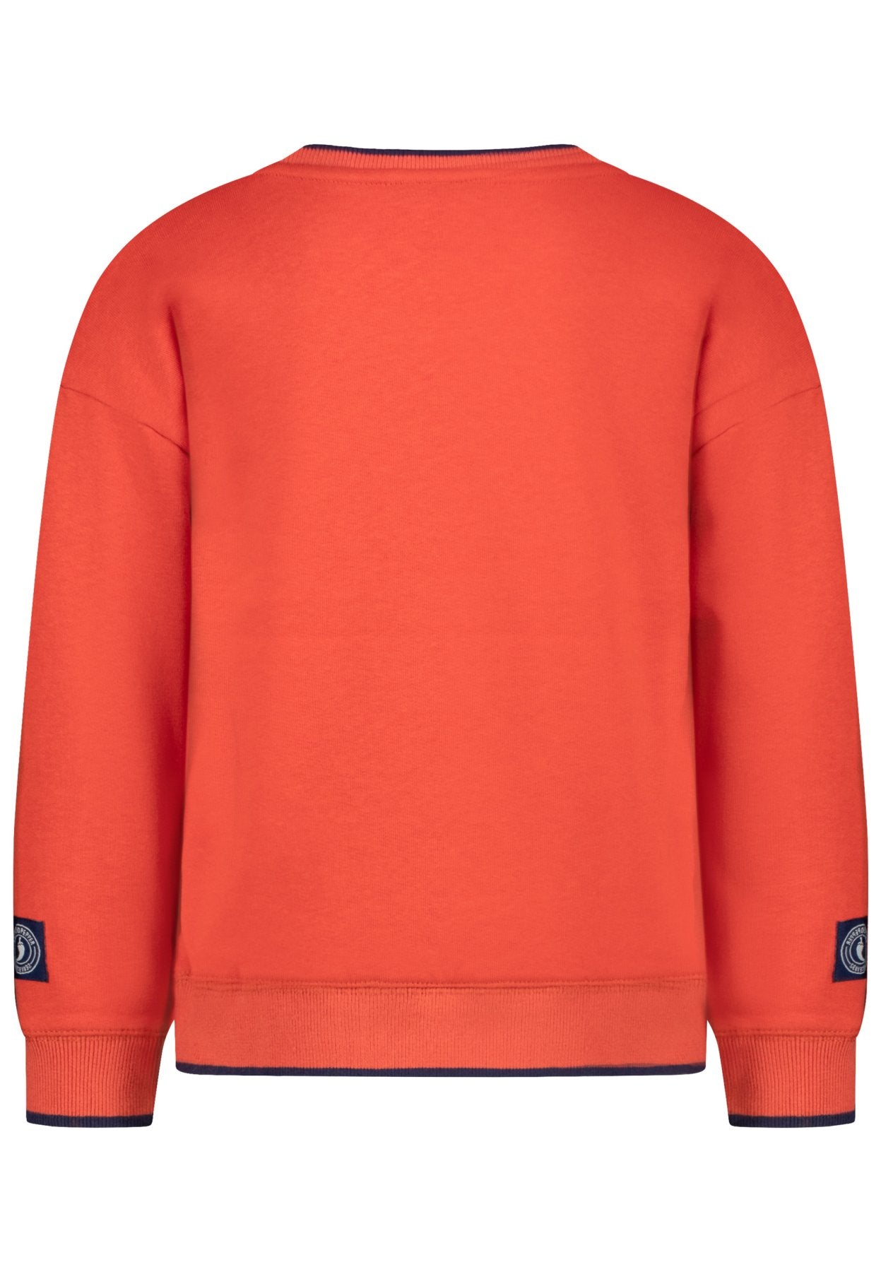 Salt and Pepper Sweatshirt Dinosaurier