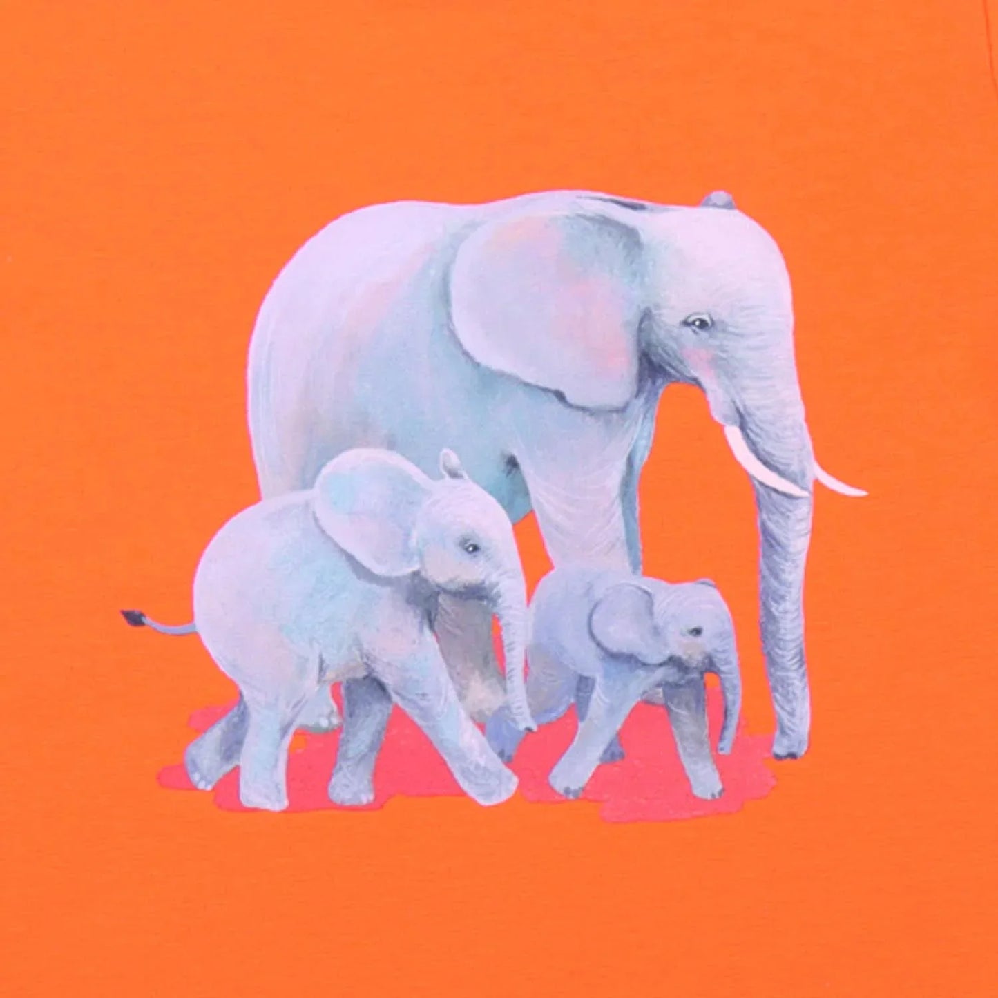 Walkiddy T-Shirt Elephants GOTS