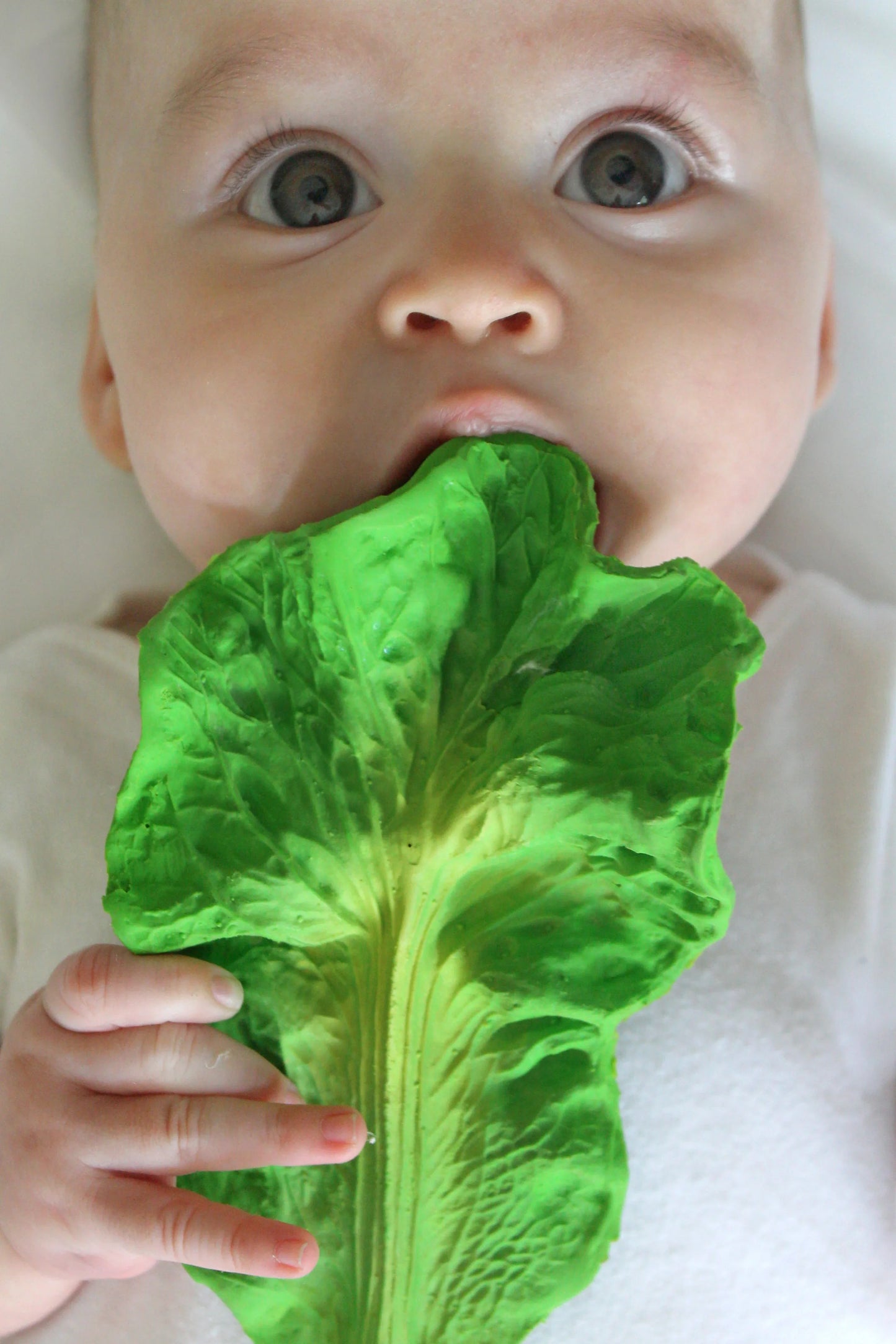Oli & Carol Beißspielzeug - Salatblatt Kendall the Kale