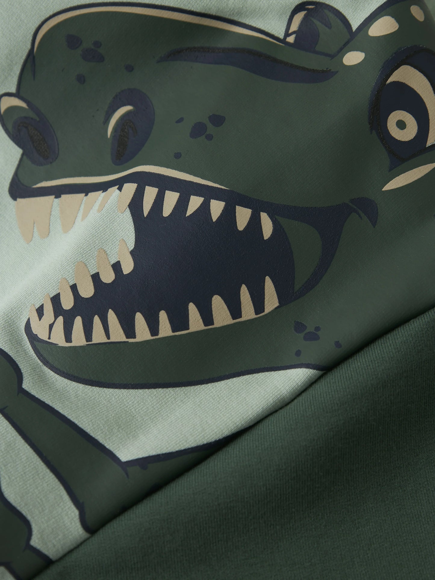 Name it Sweatshirt mit Kapuze und Dinosaurier