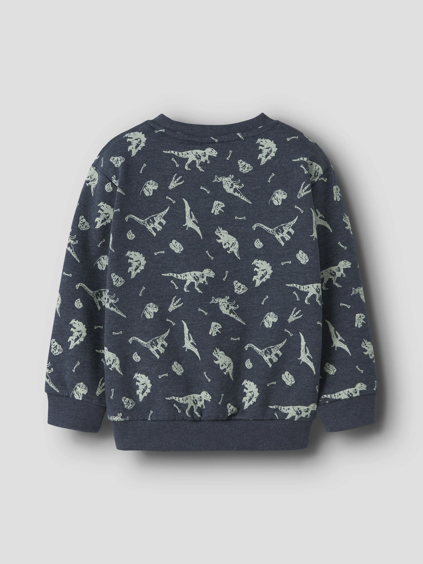 Name it Sweatshirt Regular Fit mit Dinoprint