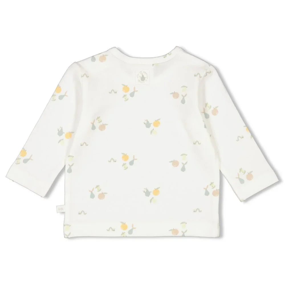 Feetje Longsleeve AOP - Picnic Party