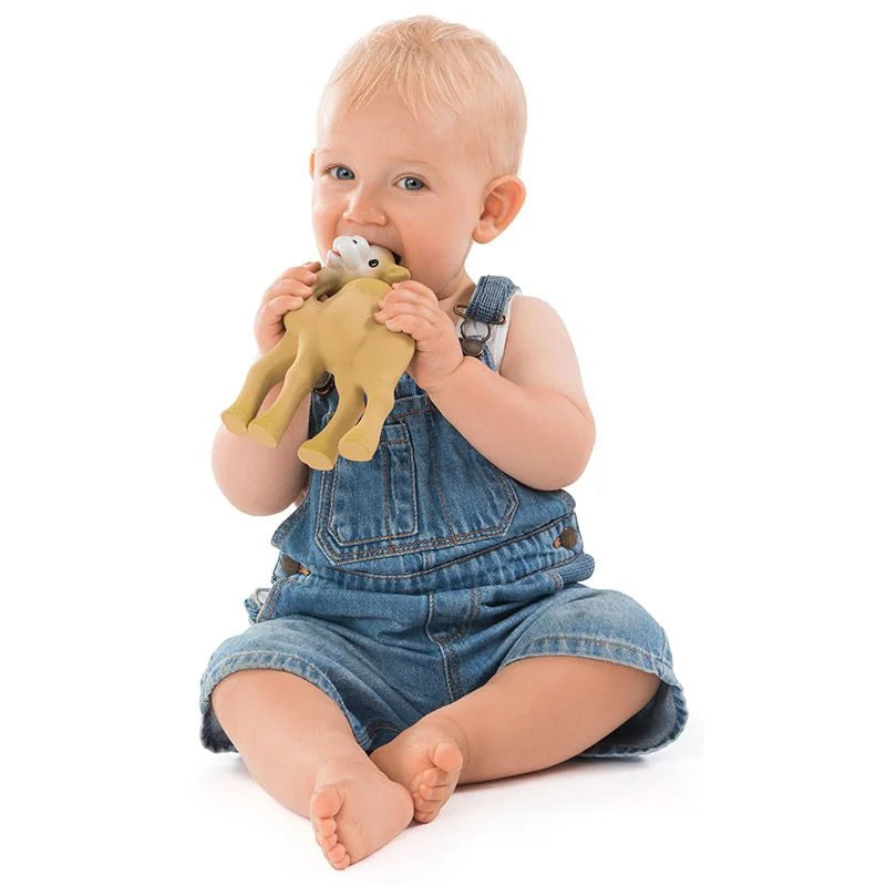 Sophie la girafe® - Al'Thir - das kleine Dromedar / Naturkautschuk