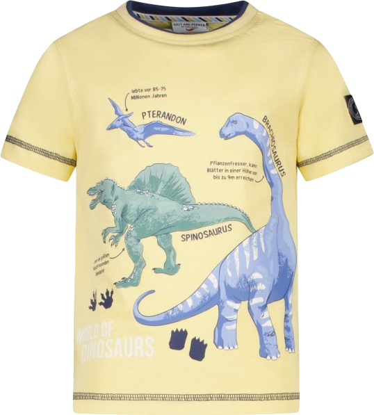 Salt and Pepper T-Shirt mit Dinosaurierprint