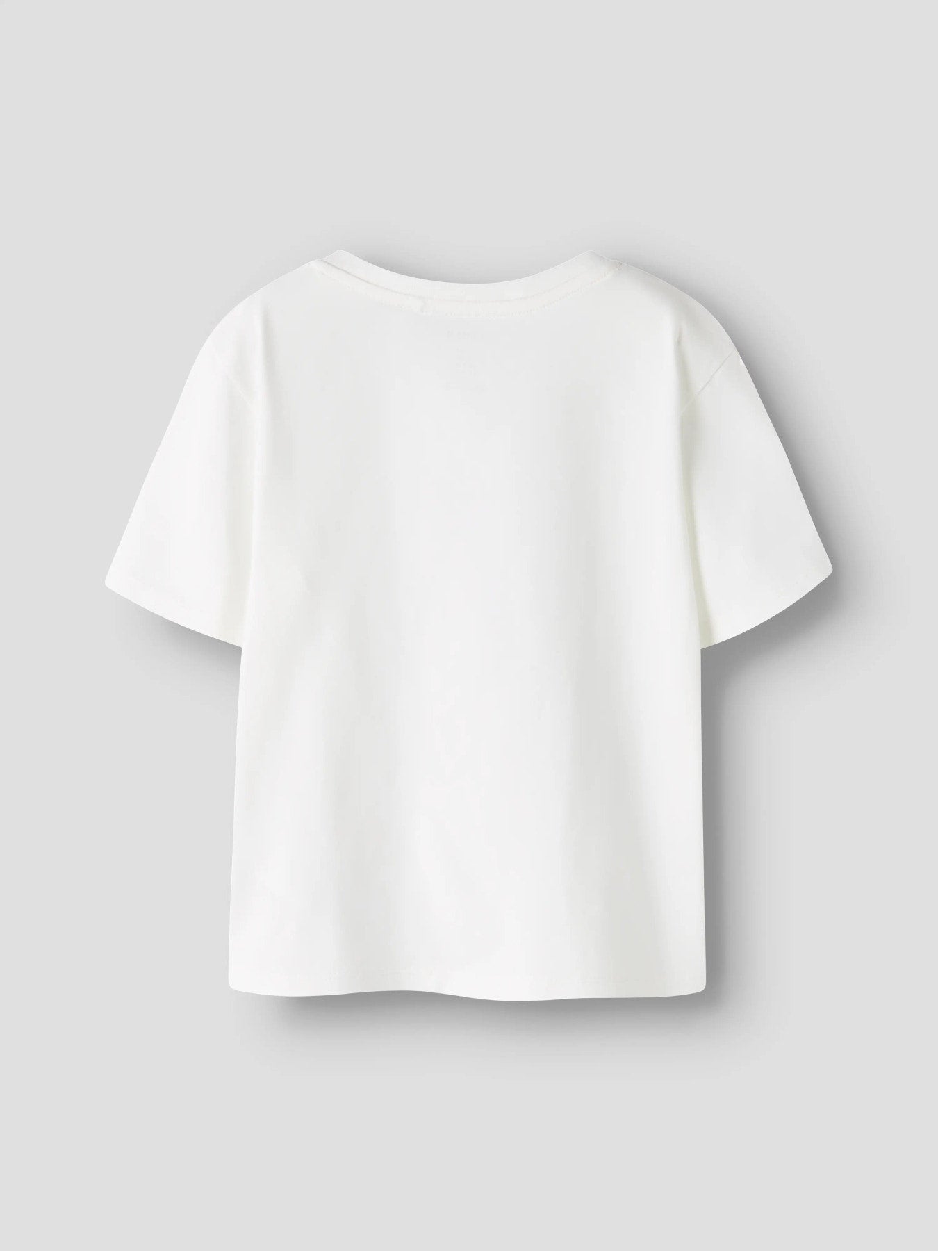 Name it T-Shirt mit Dinoprint