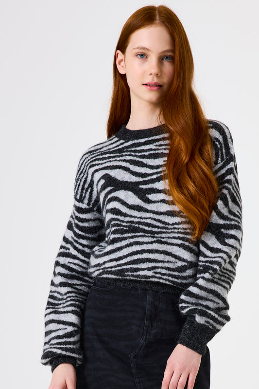 Garcia Strickpullover in Zebraoptik