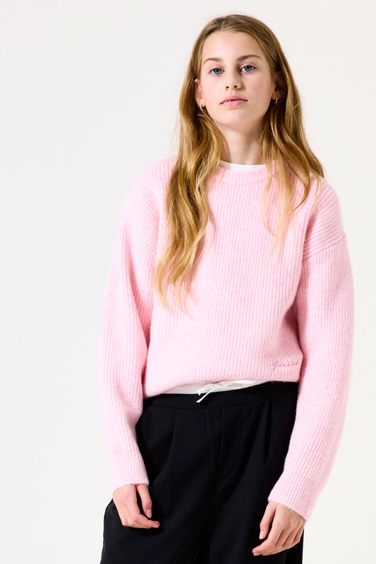 Garcia Rosa Pullover