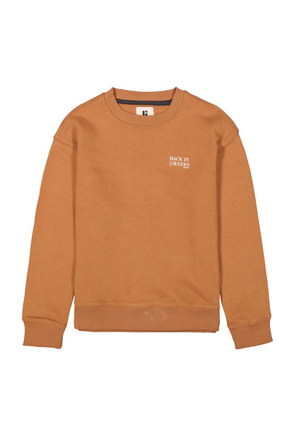 Garcia Sweathshirt in braun
