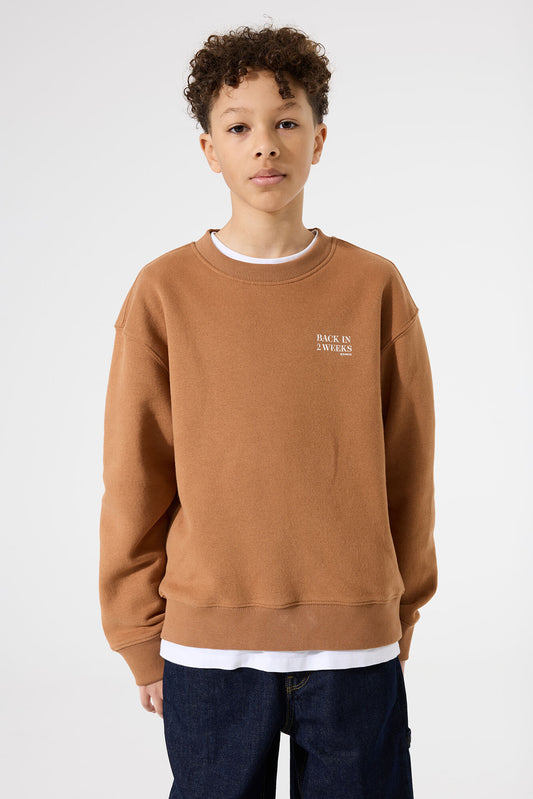 Garcia Sweathshirt in braun