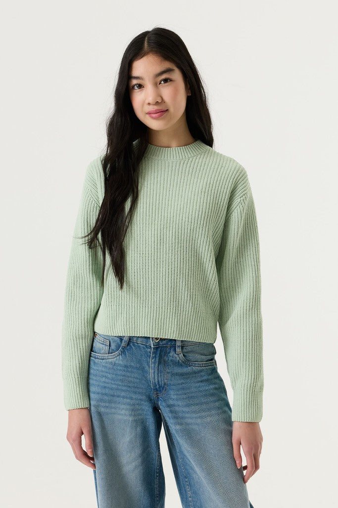 Garcia Strickpullover in Mint
