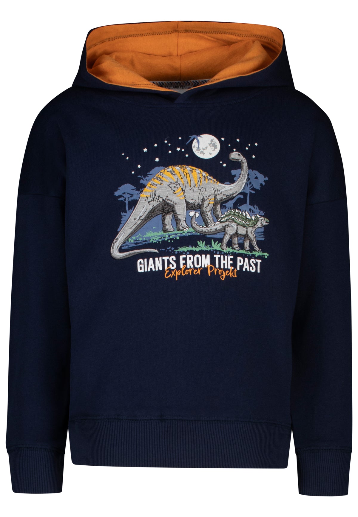 Salt and Pepper Hoodie mit Dinoapplikation