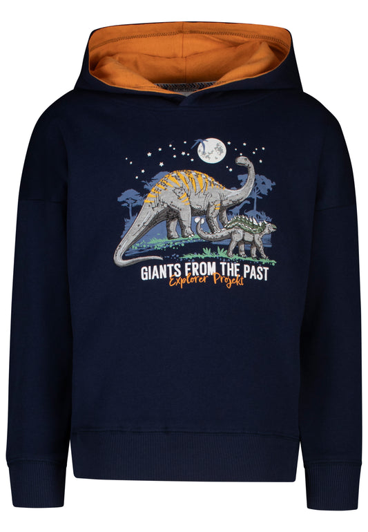 Salt and Pepper Hoodie mit Dinoapplikation