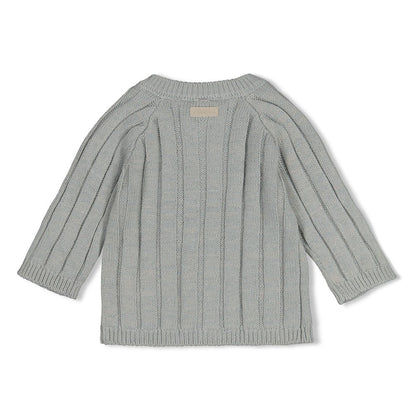 Feetje Strickjacke 'Penguin Cuddles'